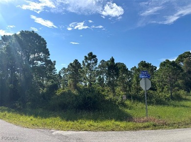 Lehigh Acres Area Lot For Sale in Lehigh Acres Florida