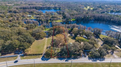 (private lake, pond, creek) Lot For Sale in Odessa Florida