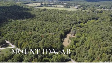 Ouachita River - Montgomery County Acreage For Sale in Mount Ida Arkansas
