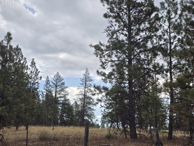 This is the Recreational property you have been waiting for!! - photo 2