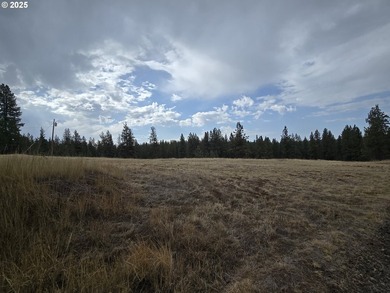 This is the Recreational property you have been waiting for!! - photo 9