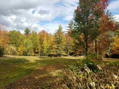 (private lake, pond, creek) Acreage For Sale in Campton New Hampshire