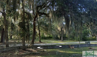 Beautiful interior lot off main road of gorgeous Tolomato Island - photo 1