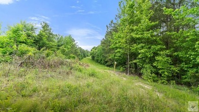 Additional listing photo 1
