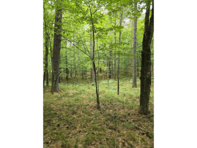 Lake Lot For Sale in Jay, New York