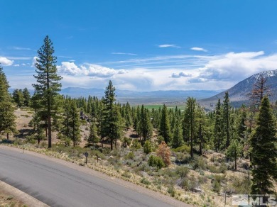 Lake Tahoe - Douglas County Lot Active Under Contract in Carson City Nevada