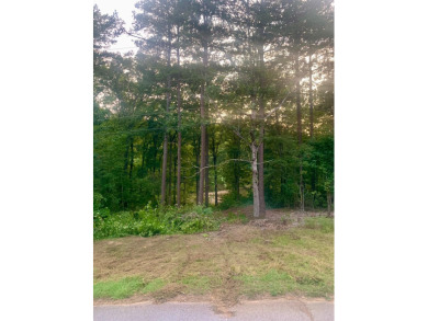 Welcome to a beautiful waterfront property that promises a - photo 2