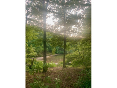 Welcome to a beautiful waterfront property that promises a - photo 3