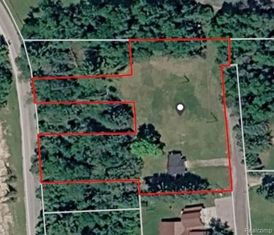 (private lake, pond, creek) Lot For Sale in Lincoln Michigan