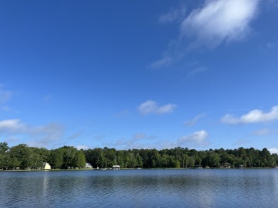 Waterfront lake lot for sale - photo 10