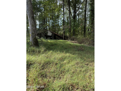 Candlewood Lake Lot For Sale in Saulsbury Tennessee