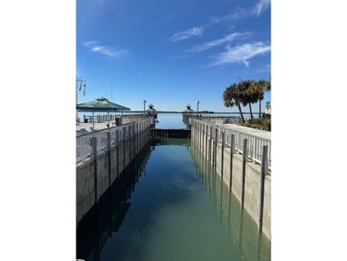 Unrivaled Security and Convenience in Windmill Harbour's Premier - photo 2