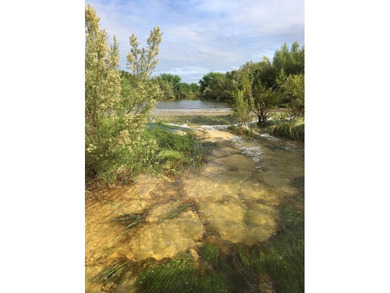 (private lake, pond, creek) Acreage For Sale in Del Rio Texas