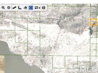 (private lake, pond, creek) Acreage For Sale in Silver Springs Nevada