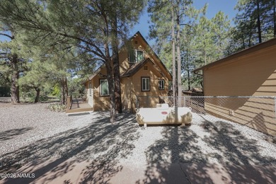 This beautifully updated 3 bedroom 2 bath cabin offers - photo 8