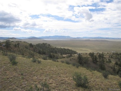 Lake Acreage For Sale in Hartsel, Colorado
