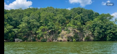 One of Pickwick Lake's last remaining premier waterfront parcels - photo 7