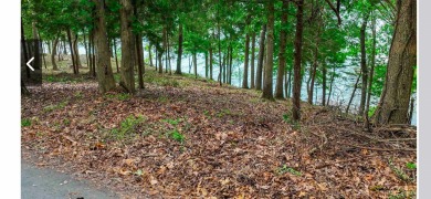 One of Pickwick Lake's last remaining premier waterfront parcels - photo 8