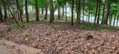 One of Pickwick Lake's last remaining premier waterfront parcels - photo 10