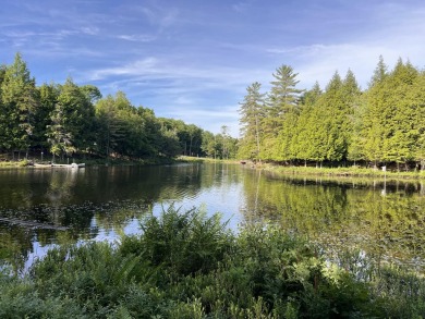 Lake Lot For Sale in Long Lake, New York