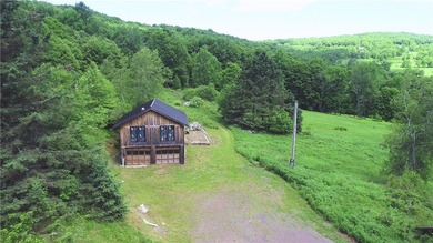 A rare opportunity to own your own private Catskills retreat in - photo 16