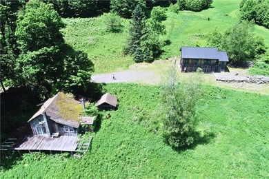 A rare opportunity to own your own private Catskills retreat in - photo 17