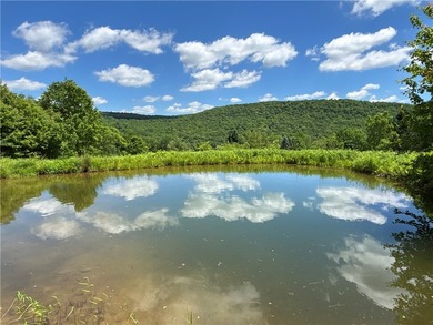 A rare opportunity to own your own private Catskills retreat in - photo 19