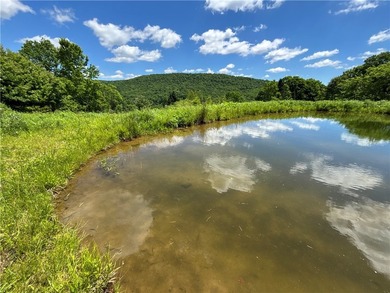 A rare opportunity to own your own private Catskills retreat in - photo 20