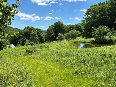 A rare opportunity to own your own private Catskills retreat in - photo 21