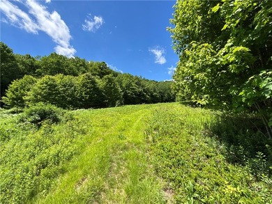 A rare opportunity to own your own private Catskills retreat in - photo 23
