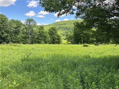 A rare opportunity to own your own private Catskills retreat in - photo 24