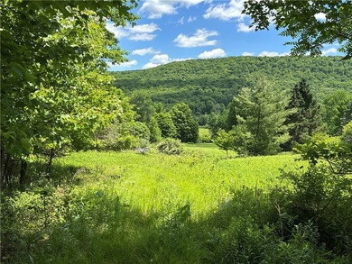 A rare opportunity to own your own private Catskills retreat in - photo 25