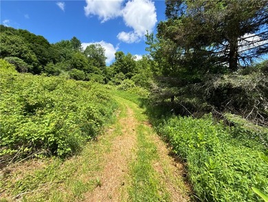 A rare opportunity to own your own private Catskills retreat in - photo 26