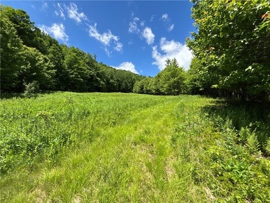 A rare opportunity to own your own private Catskills retreat in - photo 27