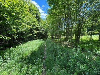 A rare opportunity to own your own private Catskills retreat in - photo 28