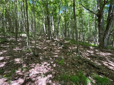 A rare opportunity to own your own private Catskills retreat in - photo 29