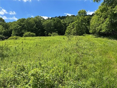 A rare opportunity to own your own private Catskills retreat in - photo 30