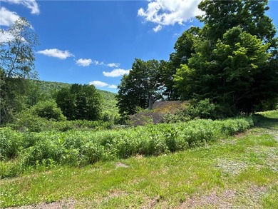 A rare opportunity to own your own private Catskills retreat in - photo 31