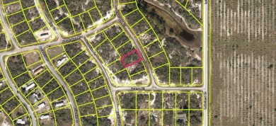 Lake Lot For Sale in Lake Placid, Florida