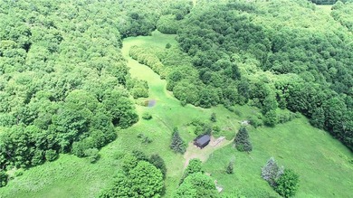 A rare opportunity to own your own private Catskills retreat in - photo 32