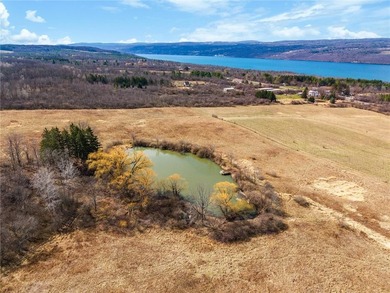 Set in the heart of the breathtaking Finger Lakes region, this - photo 34