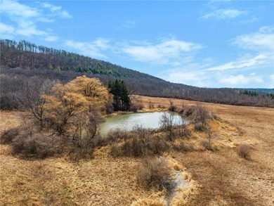 Set in the heart of the breathtaking Finger Lakes region, this - photo 36
