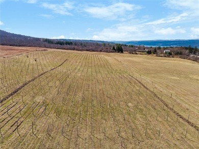 Set in the heart of the breathtaking Finger Lakes region, this - photo 37