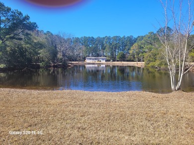 (private lake, pond, coastal) Home For Sale in Mcclellanville South Carolina