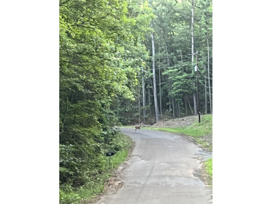 Waterfront lake lot for sale - photo 8