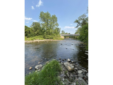 (private lake, pond, creek) Home For Sale in Essex New York