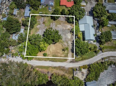 (private lake, pond, creek) Commercial For Sale in Ruskin Florida