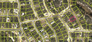 Lake Lot For Sale in Lake Placid, Florida