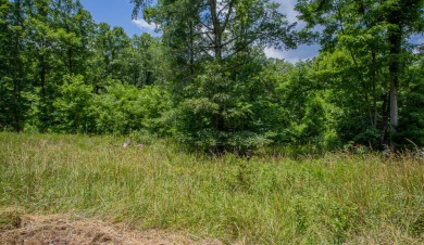Smith Mountain Lake Lot For Sale in Hardy Virginia