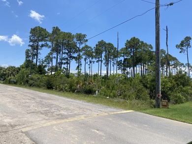 Rare opportunity to own a spacious 1/2-acre homesite in the - photo 2